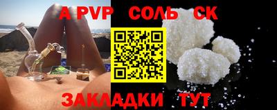 спайс Кингисепп