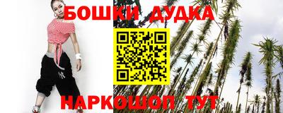 спайс Кингисепп
