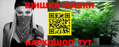 спайс Кингисепп