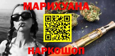 спайс Кингисепп