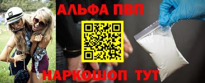 спайс Кингисепп