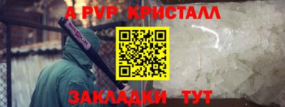 спайс Кингисепп