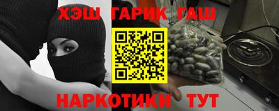 спайс Кингисепп