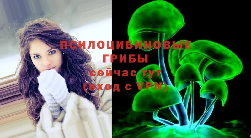 Галлюциногенные грибы Psilocybe  где купить наркоту  Карабулак 