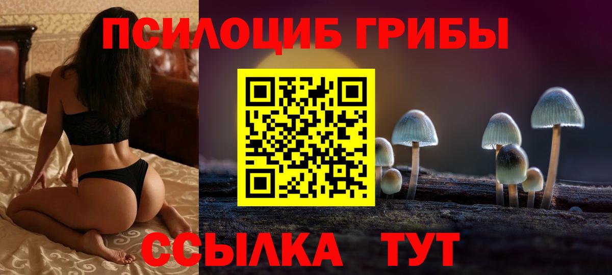Карабулак  Псилоцибиновые грибы Cubensis  Вход с VPN 